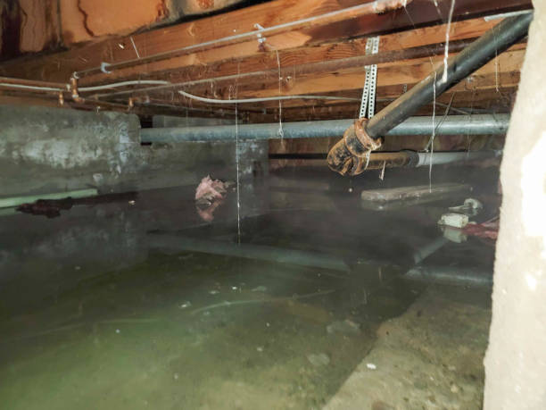  Bixby, OK Water damage restoration Pros