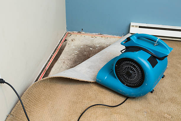 Best Basement water damage restoration  in Bixby, OK